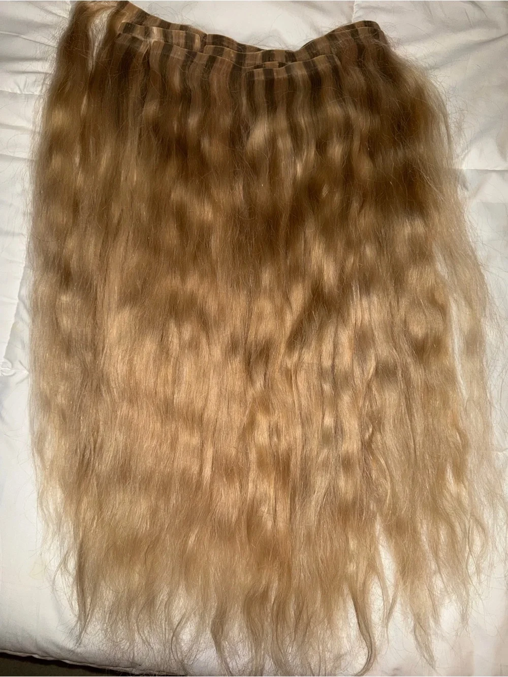 24” Beige Blonde Clip-In Extensions BFB Hair
